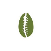 Sticker cauris vert Muta, 2 x 2 pouces, fond blanc